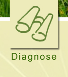 Diagnose